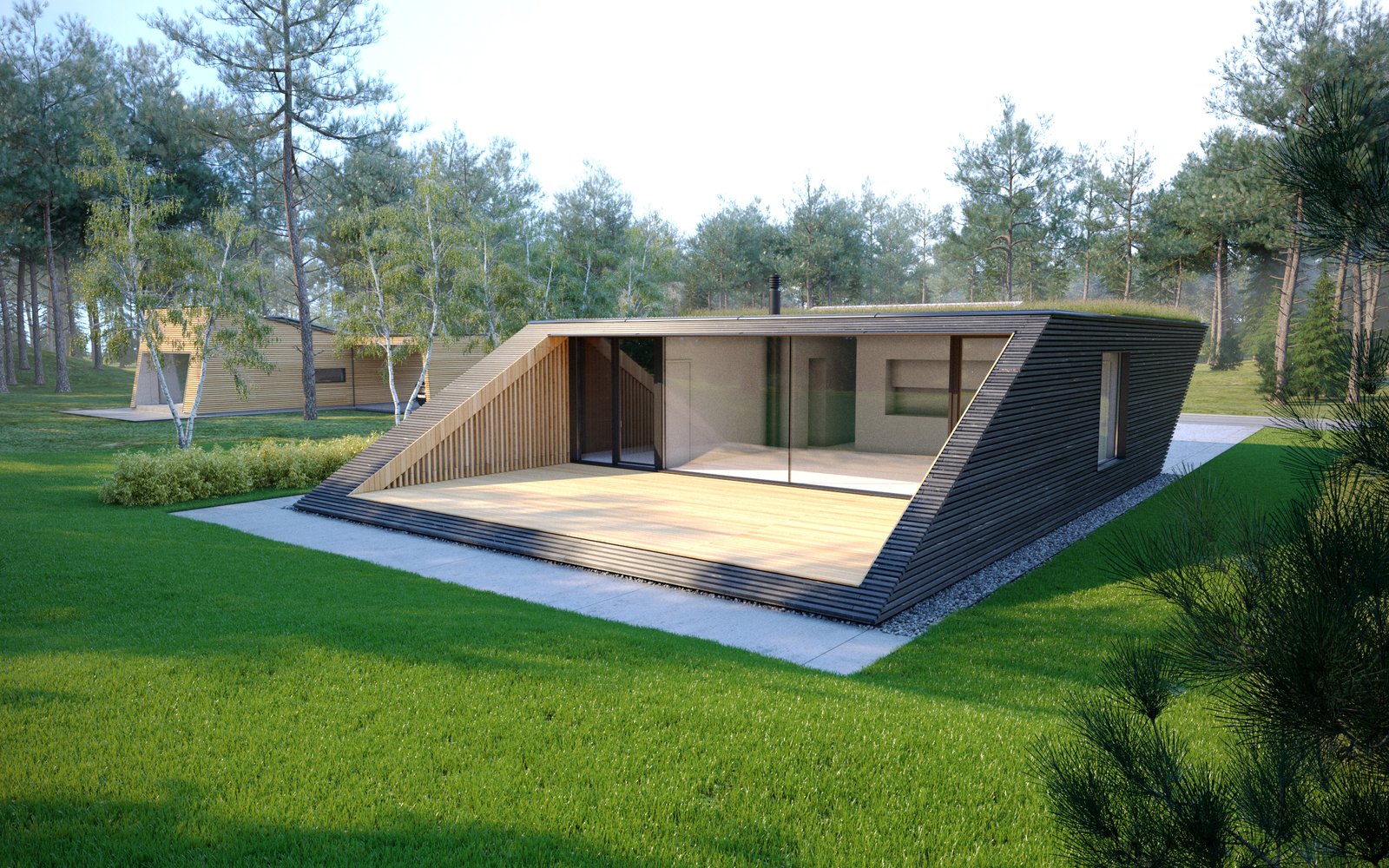 Architecture renders of black timber house