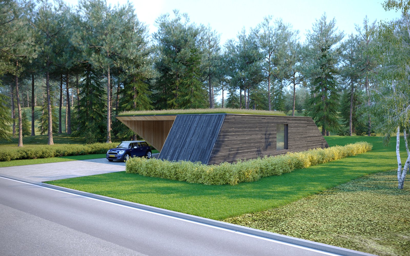 architecture visualization of the black timber home