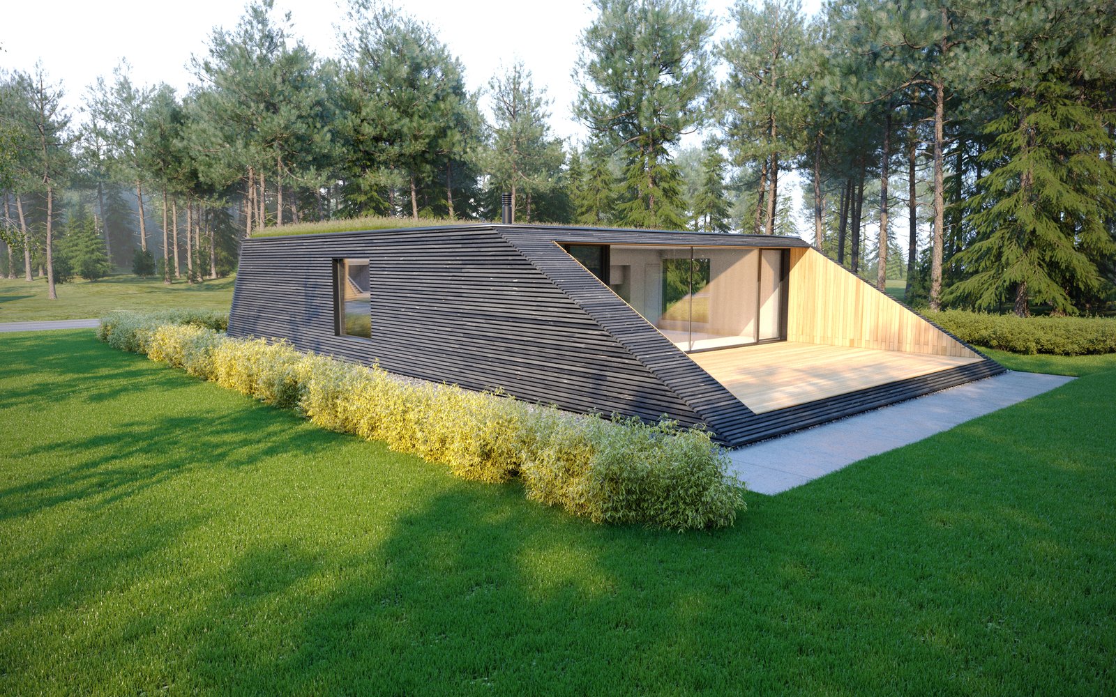 3d render - timber house